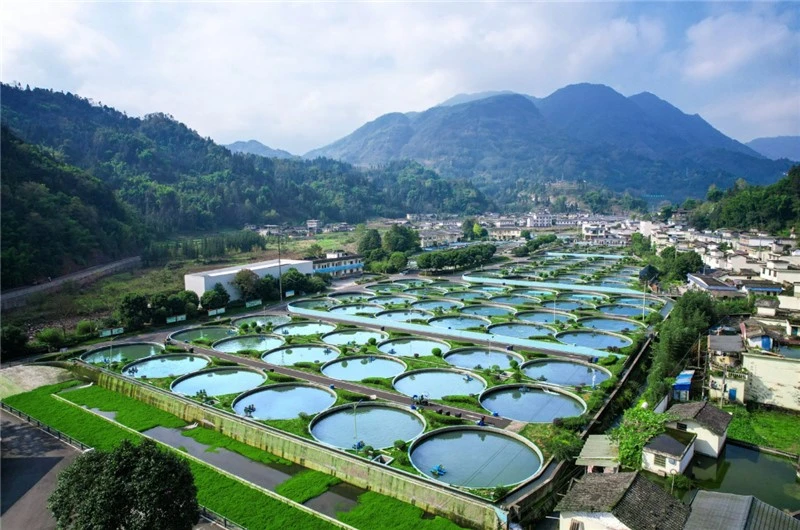 AQUACULTURE AQUACULTURE